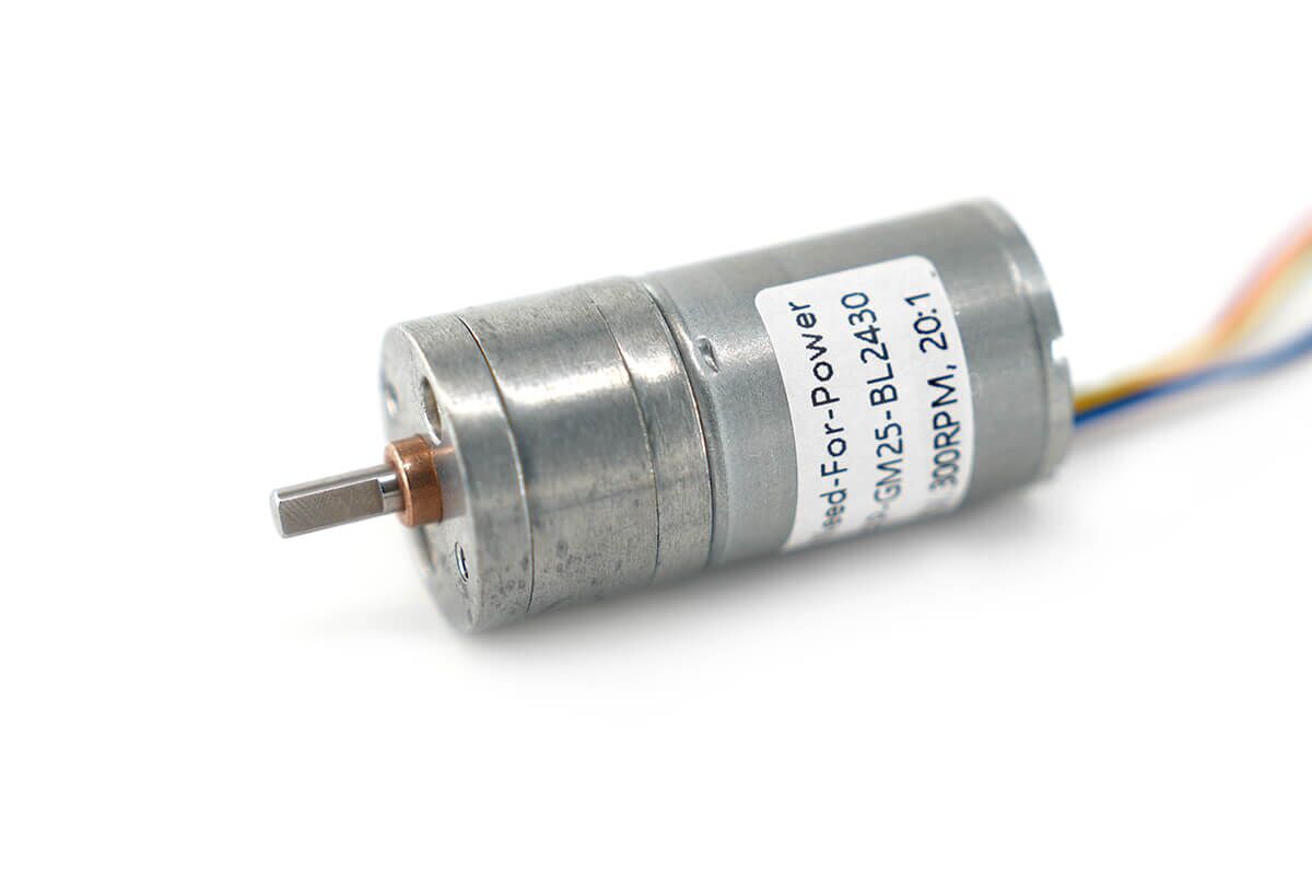 NFP-GM25-BL2430-6V-spur-gear-motor
